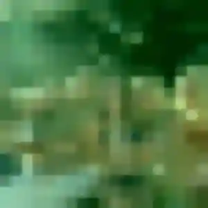 Photo de Thaïs à Charron (20 ans) - rencontre adulte discret