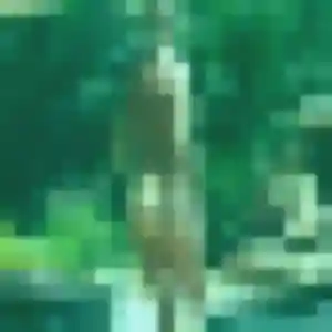 Belle Mawusi, 31 ans à Charroux - découvrir son profil