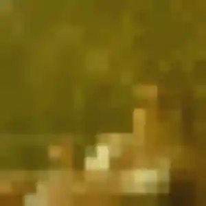 Découvre Zoé, 35 ans à Chars en t'inscrivant