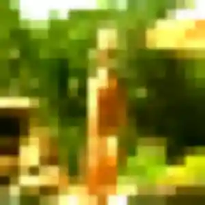 rencontre adulte à Chartres : profil de Shanelle, 22 ans - inscription gratuite