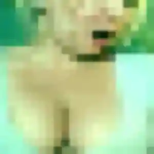 Photo sexy de Marina, 45 ans à Chartrettes - rencontre sans lendemain