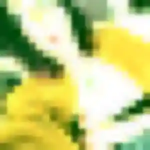 Contacte Sandy, 27 ans à Chasnais en t'inscrivant