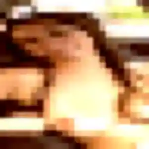 Morenike, 28 ans, dispo pour rencontre adulte à Châtellerault