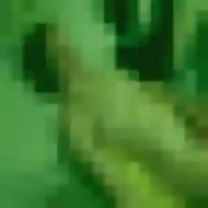 Rejoins Josiane, 19 ans à Châtres en privé