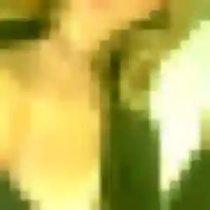 Profil de Yvette à Châtres-sur-Cher (28 ans) - rencontre adulte anonyme