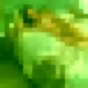 Fanny (38 ans) à Chatte propose une rencontre rapidement