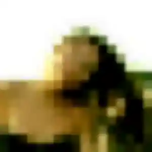 Photo de Adjoua à Chaunay (28 ans) - rencontre adulte discret