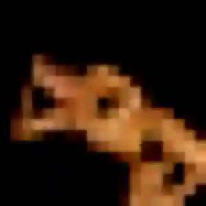 Fama, 22 ans, cherche un rencontre adulte à Chauray