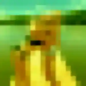 Issa, 34 ans, disponible à Chauray pour une rencontre coquine