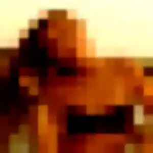 Sexy Dieynaba, 23 ans à Chauvé - découvrir son profil