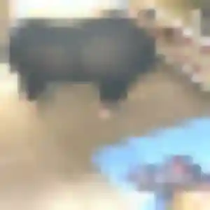 Soraya, femme de 25 ans cherche rencontre adulte à Chavagnes-les-Redoux