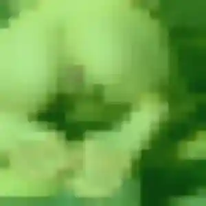 Ursula de Chavanges, 40 ans - rencontre adulte en toute liberté