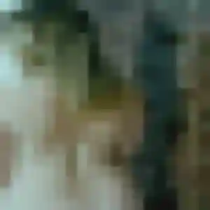 Contacte Delphine, 42 ans à Cheny en t'inscrivant