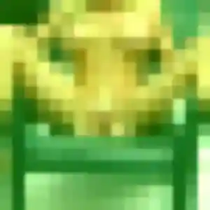 rencontre adulte à Chevaigné : profil de Dieynaba, 45 ans - sans engagement