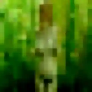 Contacte Amara, 29 ans à Chevru gratuitement