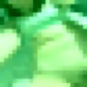 Contacte Blessing, 31 ans à Cheyssieu gratuitement