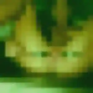 Dado (37 ans) à Chiconi propose un rencontre adulte ce soir