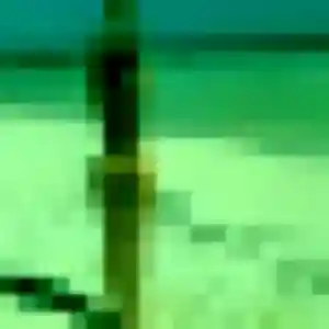 Nkechi, femme de 38 ans propose rencontre adulte à Chocques