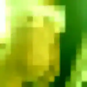 Photo privée de Élise, 35 ans à Cirières - rencontre coquine