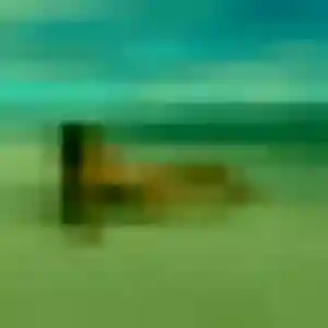 rencontre adulte à Clairmarais : photo de Thalia, 25 ans - inscription gratuite