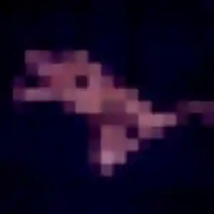 Chancelle, 41 ans, dispo pour rencontre adulte à Clécy