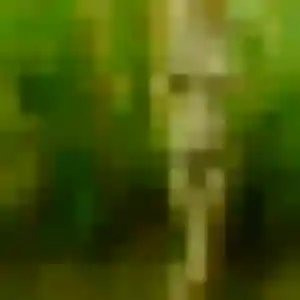 Rejoins Modupe, 36 ans à Clérac en t'inscrivant