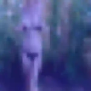 Photo perso de Ketsia, 24 ans à Coaraze - rencontre coquine