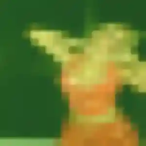 Diary, fille de 38 ans propose rencontre adulte à Coggia