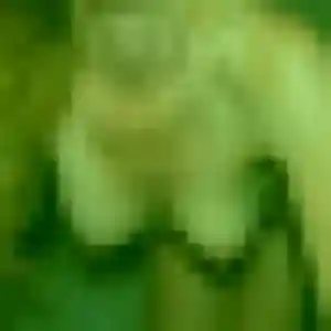 Rokhaya, 38 ans, cherche un rencontre adulte à Cognac