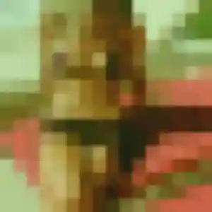 Rokia (24 ans) à Cogolin attend un rencontre adulte maintenant