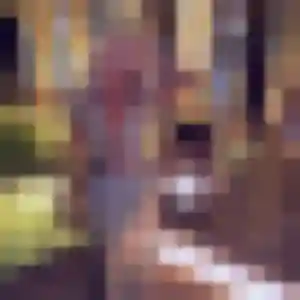 Ursula, 40 ans, en ligne à Collemiers pour un rencontre adulte