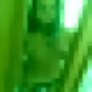 Lise (41 ans) à Colmar attend un rencontre adulte ce soir