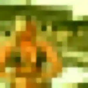 Grace de Cologne, 38 ans - rencontre adulte sans prise de tête