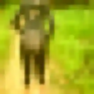 rencontre adulte à Comblessac : profil de Ablavi, 34 ans - inscription gratuite