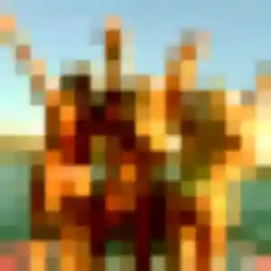 Photo de Aya à Comblessac (40 ans) - rencontre adulte gratuit