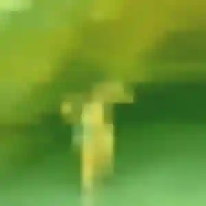 Morgane de Combon, 24 ans - rencontre adulte sans lendemain