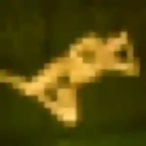 rencontre adulte à Compreignac : profil de Rebecca, 40 ans - sans engagement