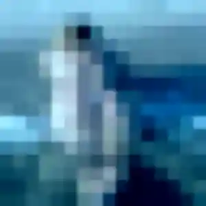 rencontre adulte à Comps : profil de Astan, 24 ans - accès libre