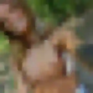 Muthoni (41 ans) à Conches-en-Ouche attend une rencontre maintenant