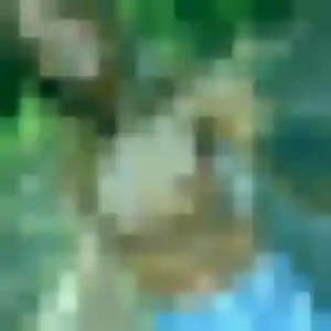 Adjoavi (29 ans) à Concoret propose une rencontre maintenant