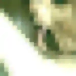 Photo de Patience à Concoret (36 ans) - rencontre adulte discret