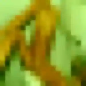 rencontre adulte à Concremiers : profil de Dalila, 36 ans - accès libre