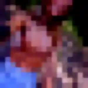 rencontre adulte à Corbara : profil de Stacy, 43 ans - sans engagement