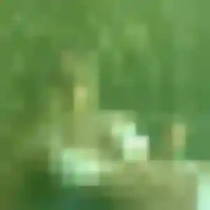 rencontre adulte à Corbarieu : photo de Modupe, 41 ans - inscription gratuite