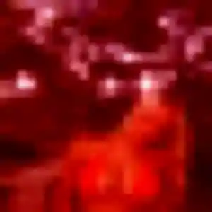 Belle Ursula, 33 ans à Corbas - la contacter