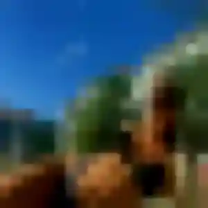 Solène, 29 ans, connectée à Cornillon-Confoux pour un rencontre adulte