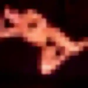 Rencontre Fama, 45 ans à Coron en privé