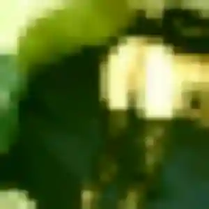 Ehui (36 ans) à Cosne-Cours-sur-Loire propose une rencontre rapidement