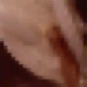 Charmante Naomie, 29 ans à Courcebœufs - voir sa photo