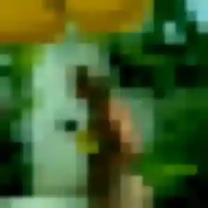 Sexy Solène, 31 ans à Courcité - la contacter